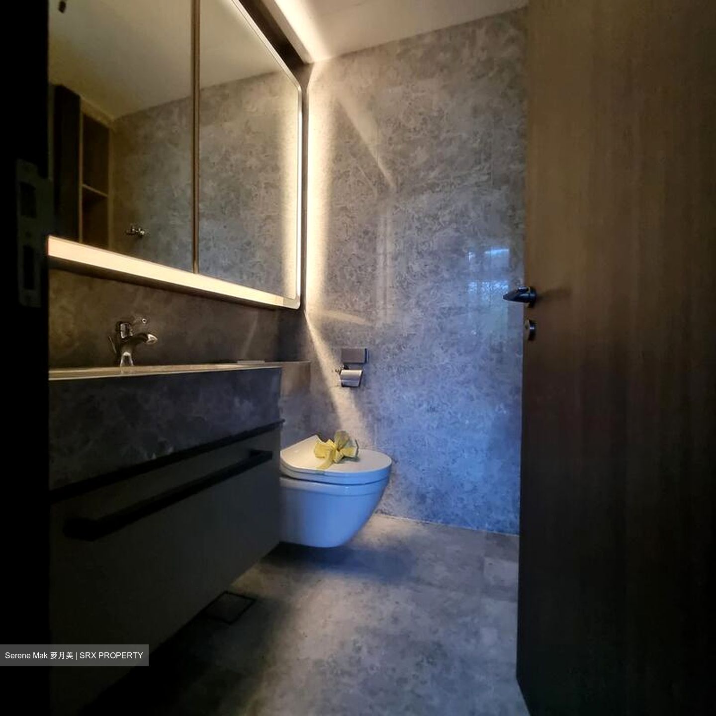 Van Holland (D10), Condominium #511294921
